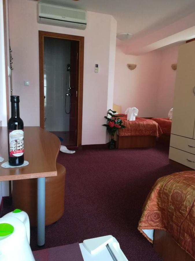 Guest House Aristokrat オブゾー エクステリア 写真